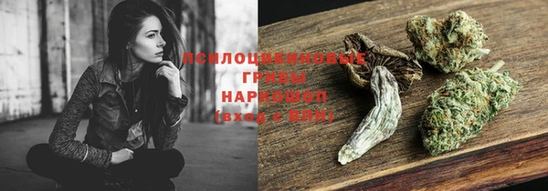 прущий лед Мегион