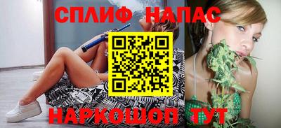 МДПВ Краснознаменск