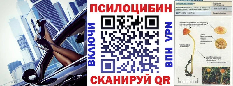 Галлюциногенные грибы Psilocybe  цена   Комсомольск-на-Амуре 